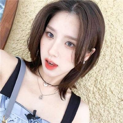 大毛狗